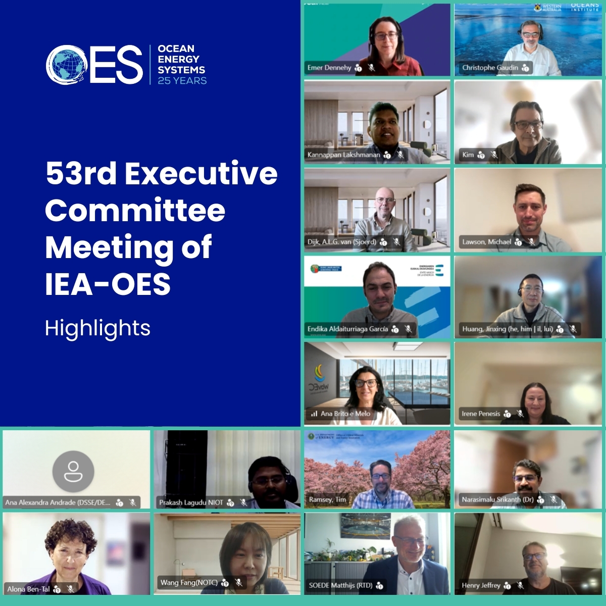 71547-53rd-executive-committee-meeting-of-iea-oes.jpg